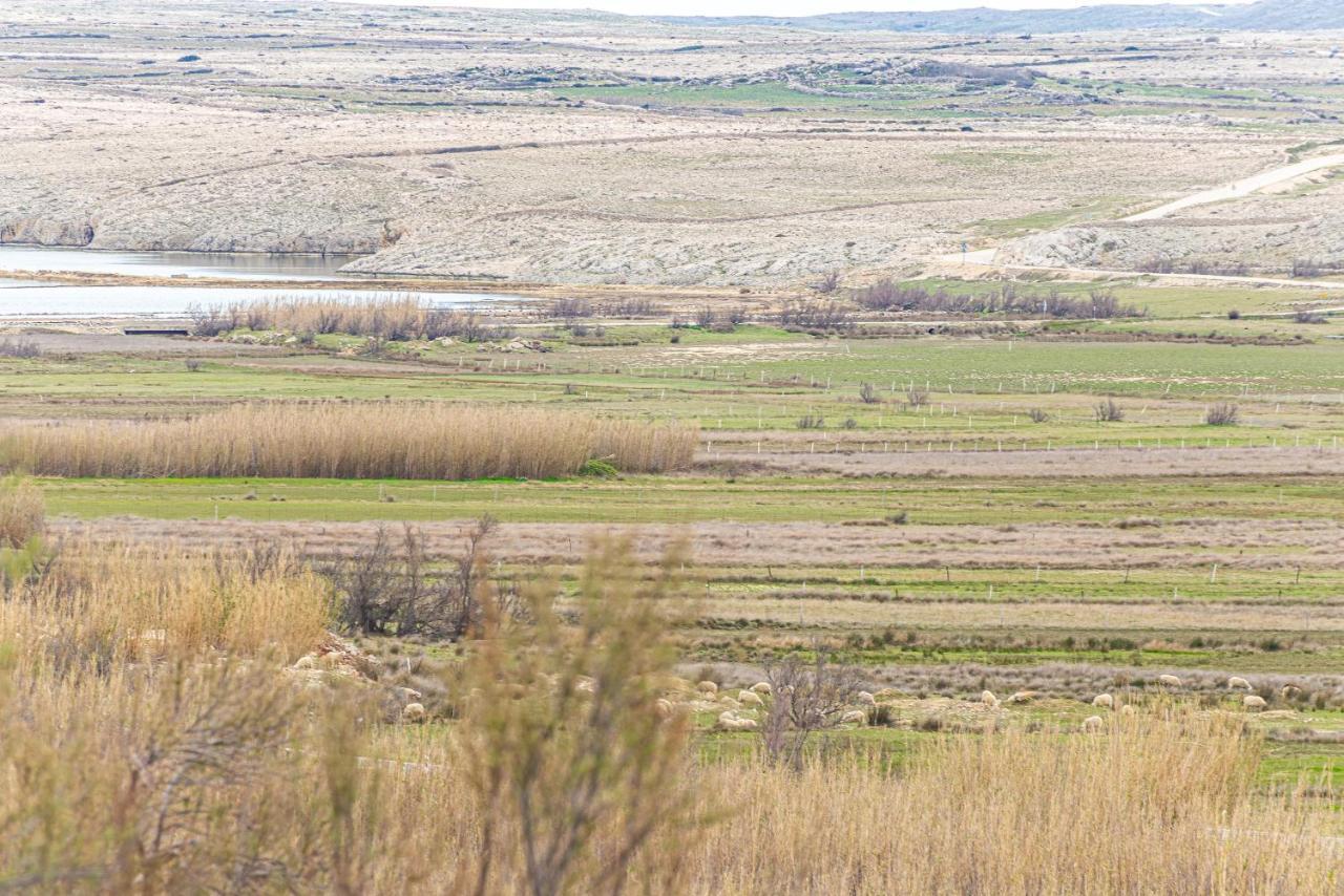 Apartmani Opg Dragoslavic Stara Vas Bagian luar foto